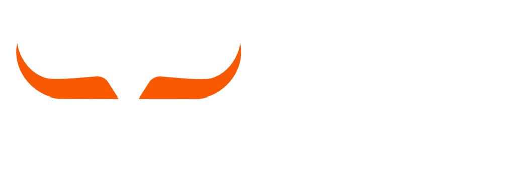 FEROX Logo Horiz white