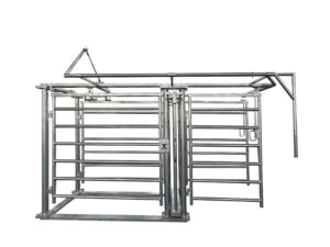 Cattle Chute 500-1